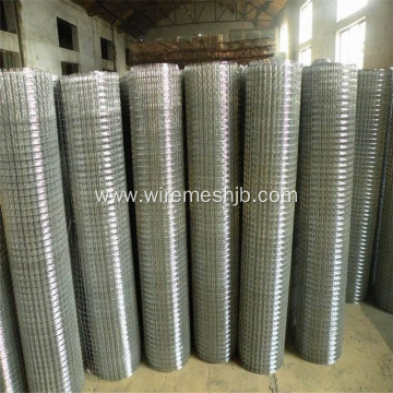 3/4 Welded Wire Mesh Rolls With Square Hole